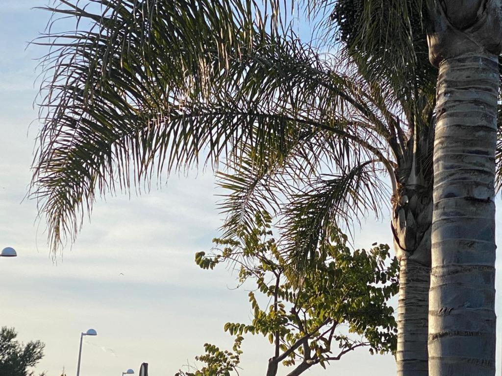 فيلا Casa Junto Al Mar Con Jardin ساغونتو المظهر الخارجي الصورة